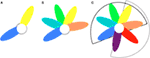 www.frontiersin.org