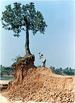 www.frontiersin.org