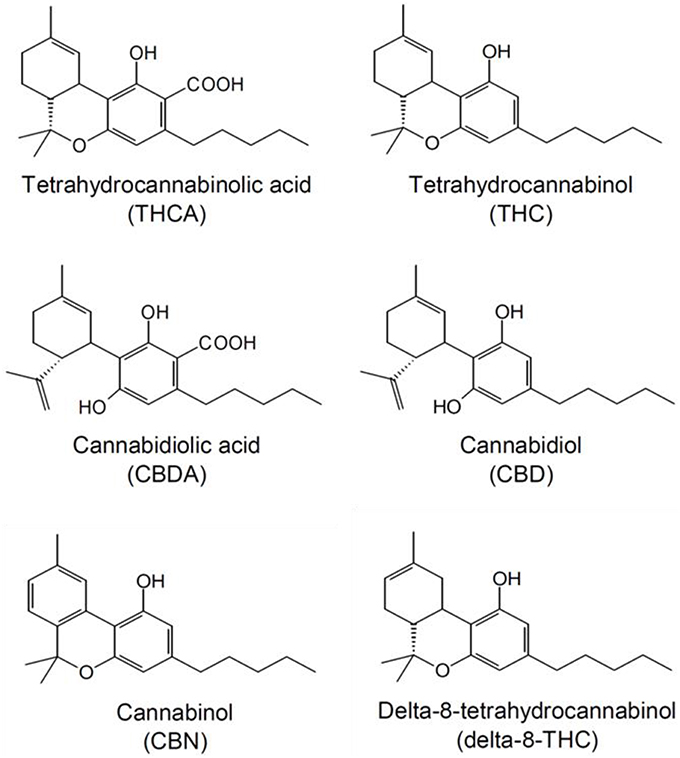 Frontiers | Evaluating the Effects of Gamma-Irradiation for Decontamination of Medicinal Cannabis