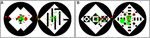 www.frontiersin.org