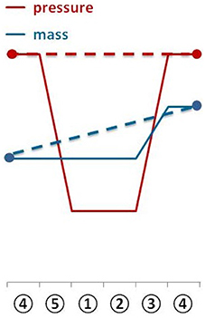 www.frontiersin.org