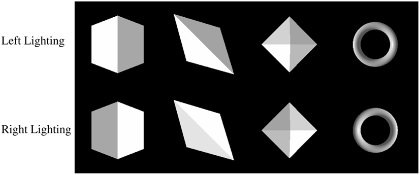 www.frontiersin.org
