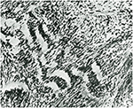 www.frontiersin.org
