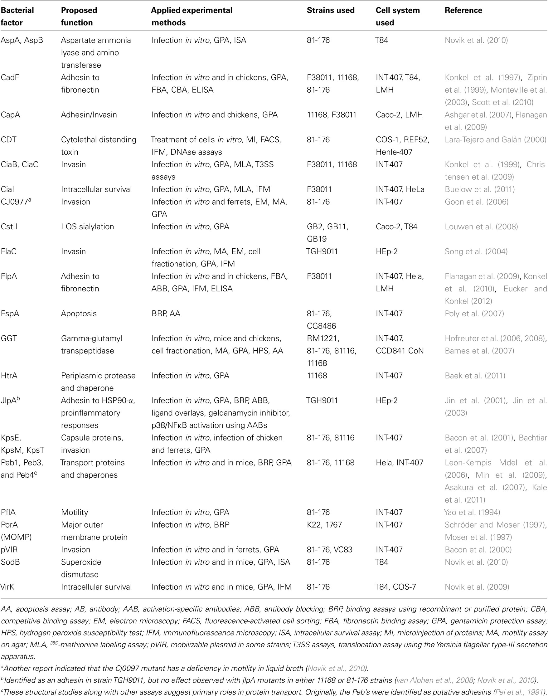 Isolation and characterization of two campylobacter glycineextracted proteins that bind to hela cell membranes