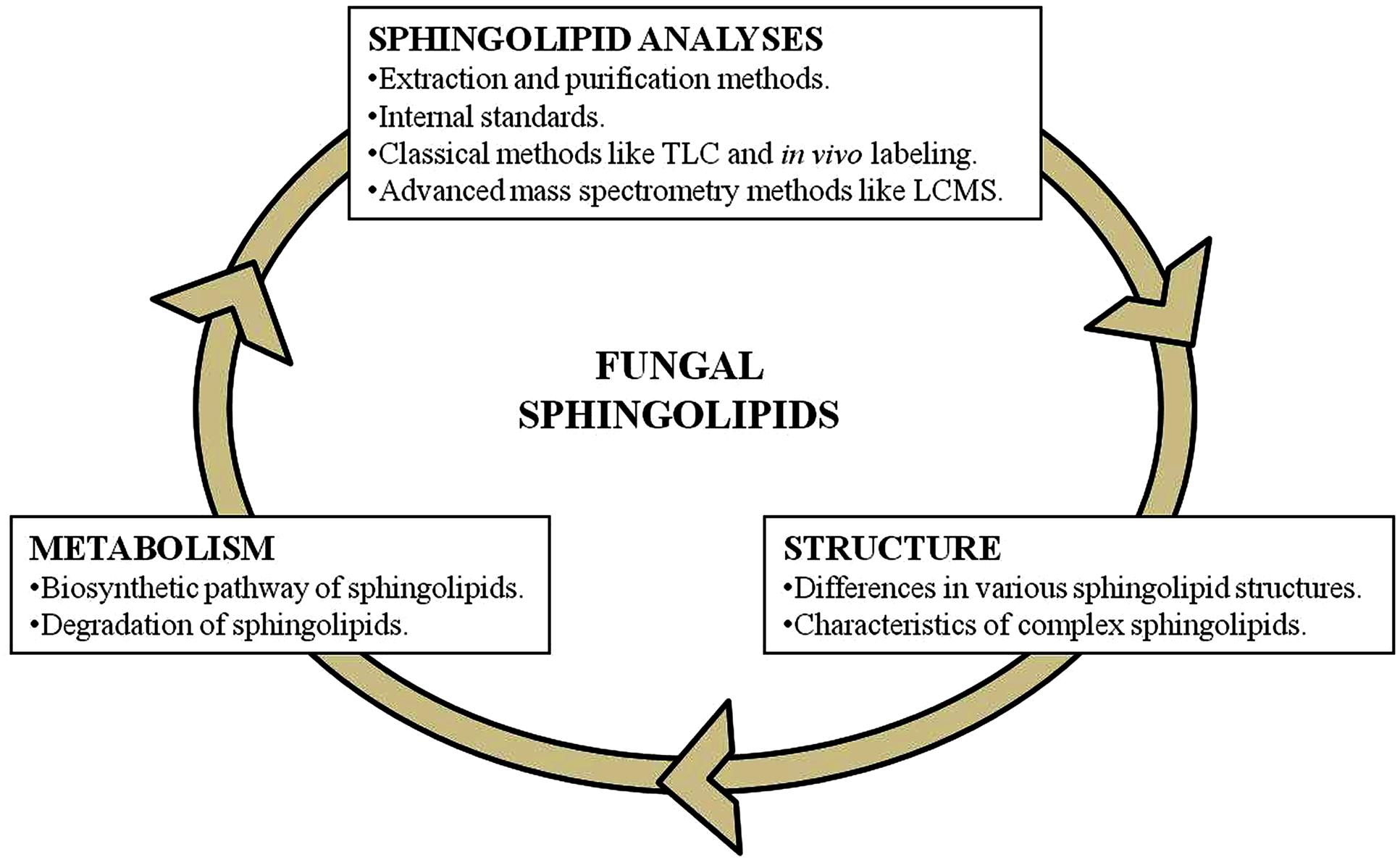 Purification methods. Internal method