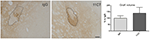 www.frontiersin.org