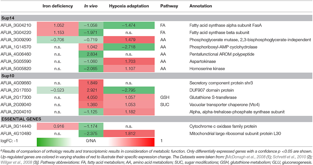 Antifungal Strength Chart