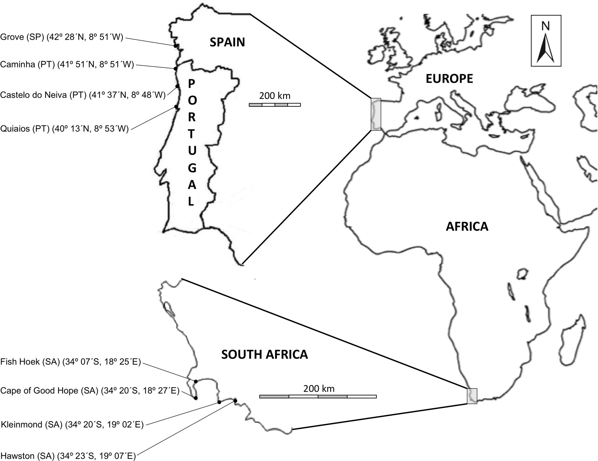 www.frontiersin.org
