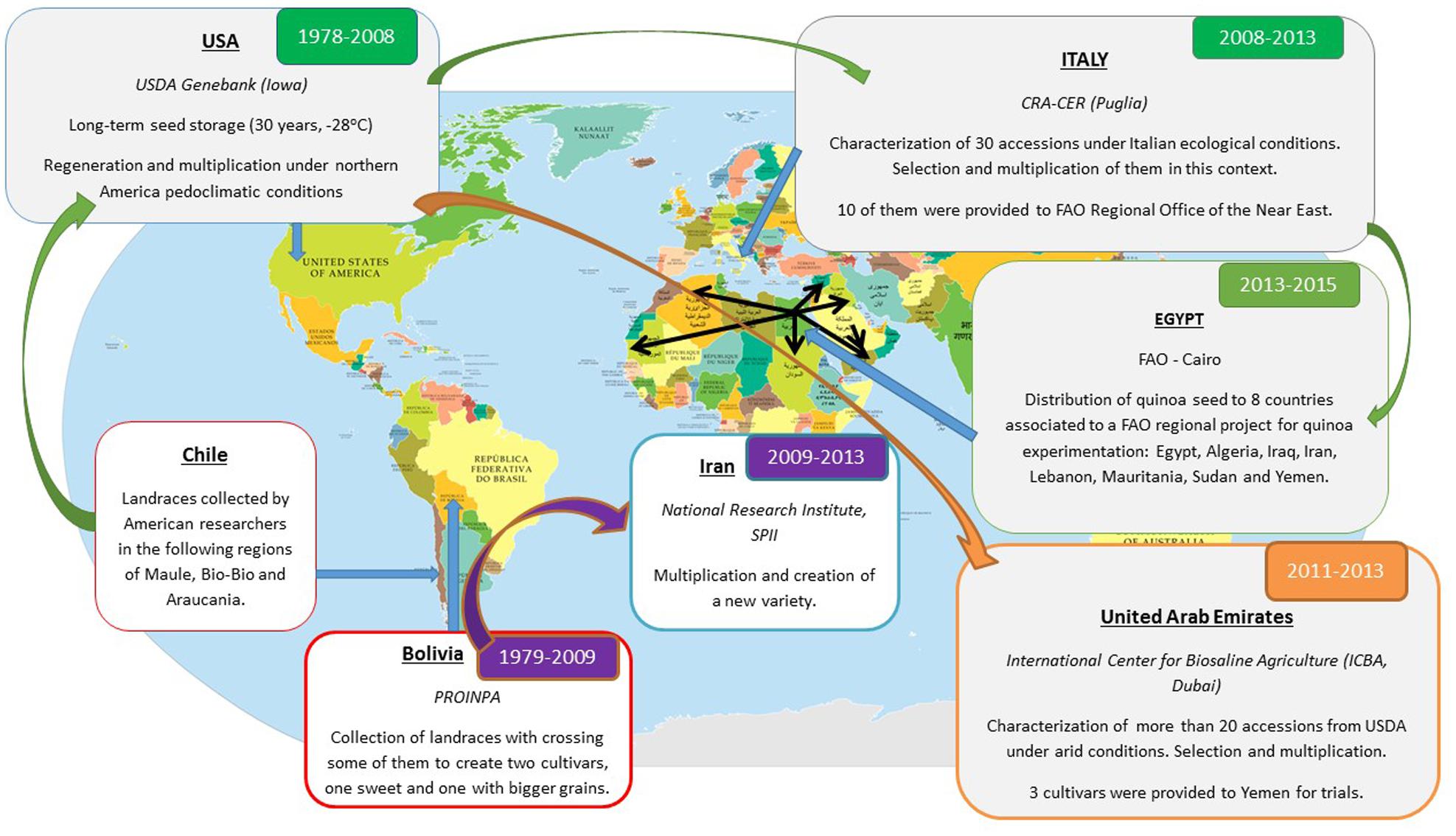 Quinoa  Description, Plant, Seeds, Domestication, History