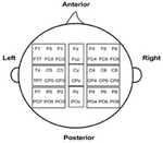 www.frontiersin.org