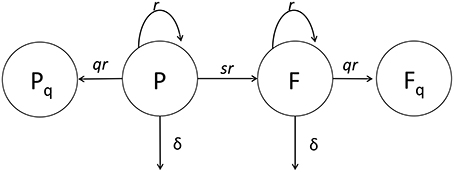 www.frontiersin.org