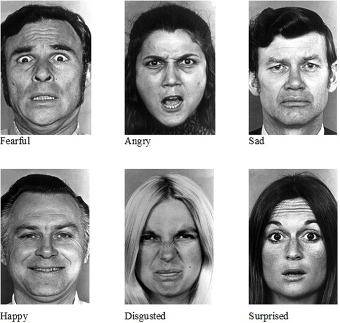 Human Facial Expressions Chart