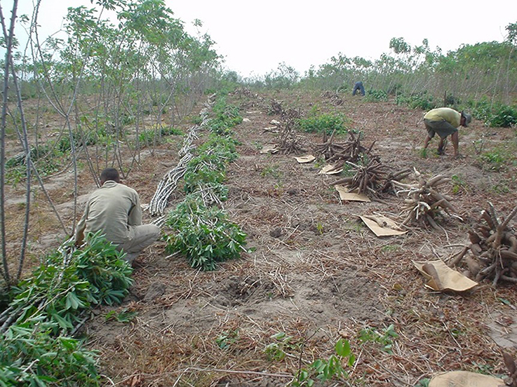 www.frontiersin.org
