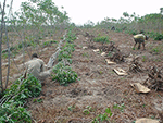 www.frontiersin.org