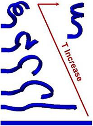 www.frontiersin.org
