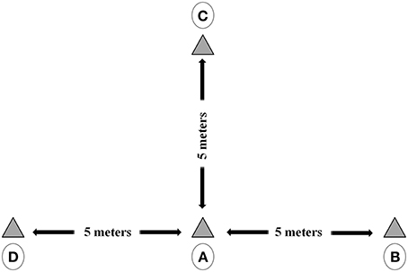www.frontiersin.org