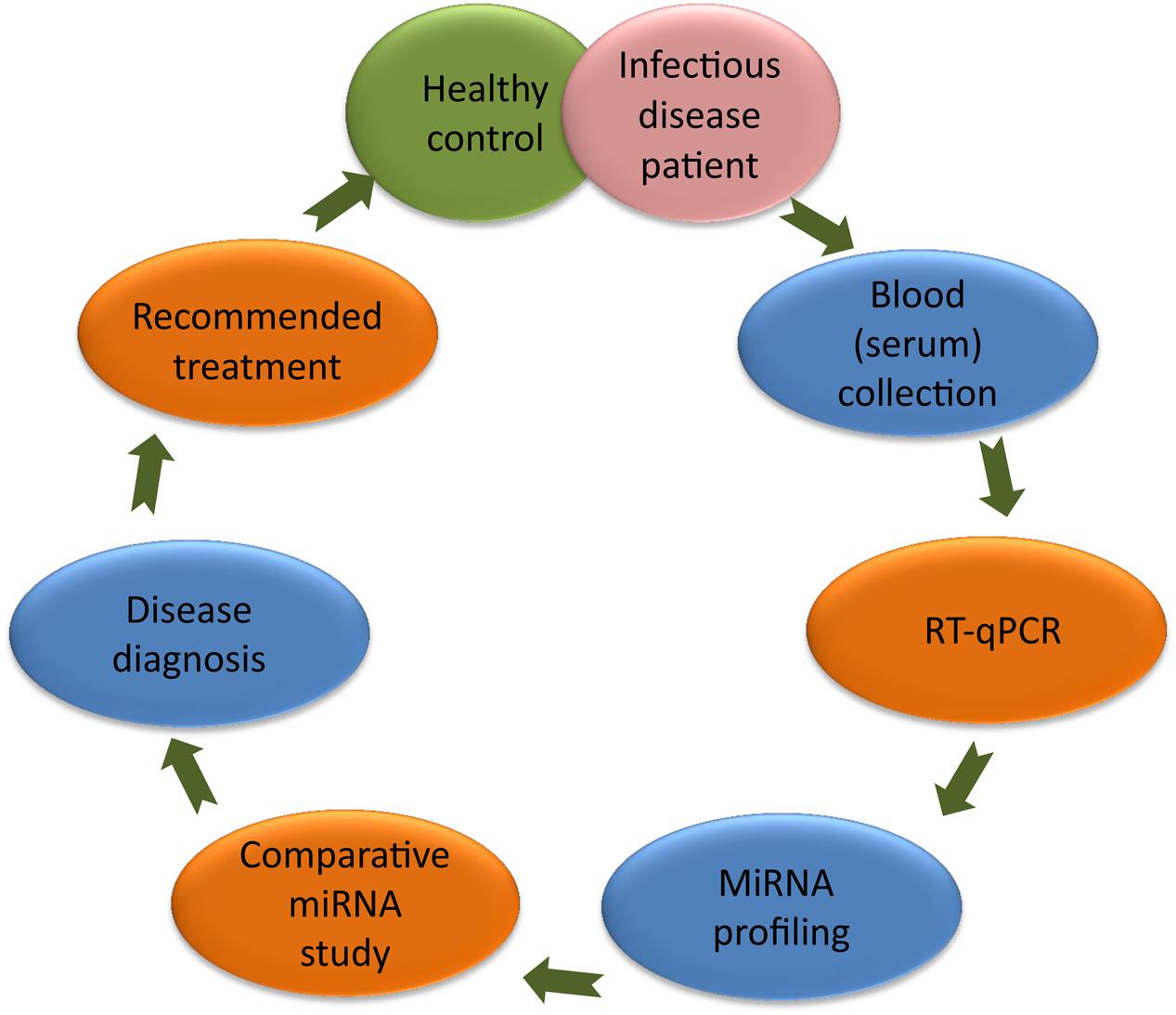 Image result for Diagnosis of infectious diseases