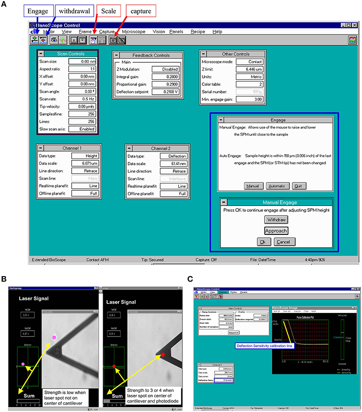 nanoscope analysis 1.9 download nanoscope analysis 1.9 download
