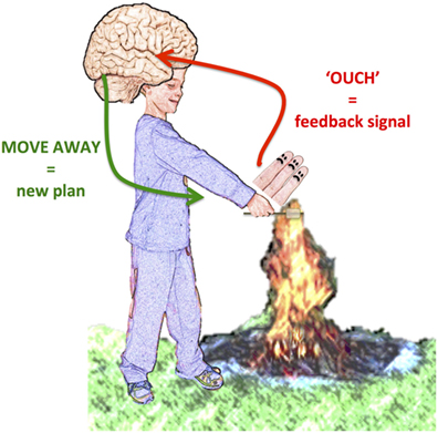 Figure 1 - Example of feedback signal.
