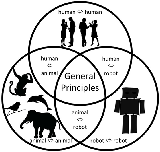 www.frontiersin.org