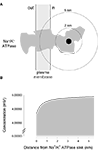 www.frontiersin.org