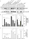www.frontiersin.org