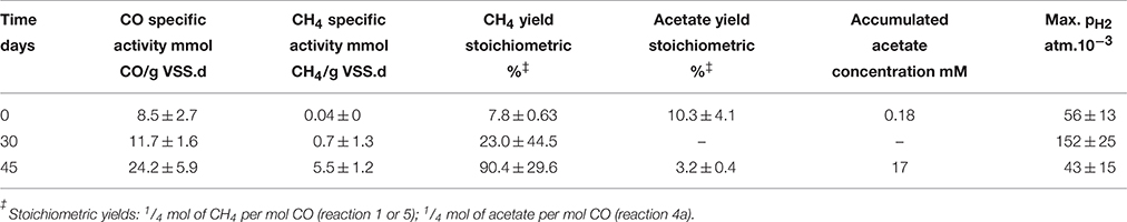 Biomethanation of Syngas Using Anaerobic Sludge: Shift in the Catabolic Routes with the CO Partial Pressure Increase |