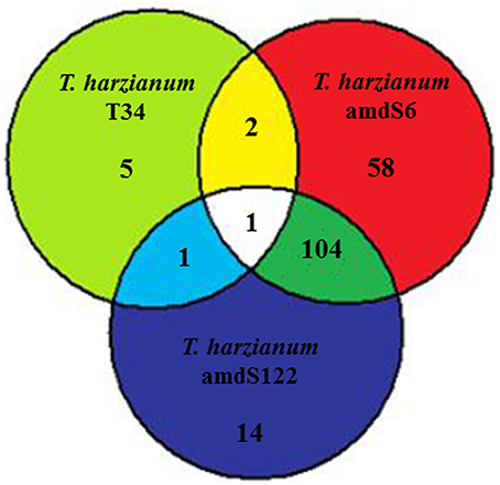www.frontiersin.org