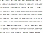 www.frontiersin.org
