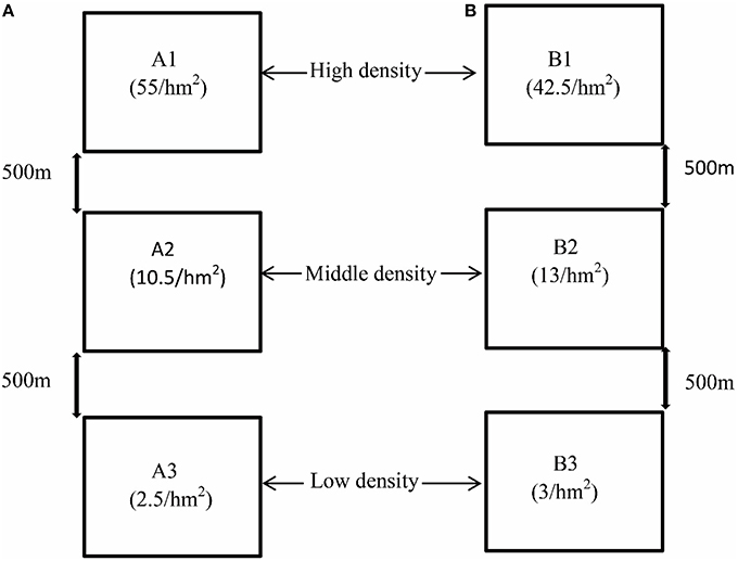 Frontiers | Pika Population Density Is Associated with the Composition ...