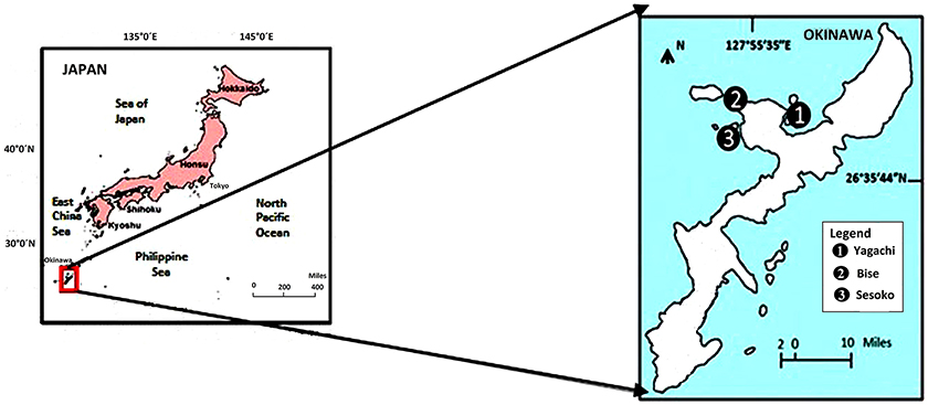 www.frontiersin.org