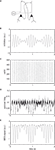 www.frontiersin.org