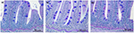 www.frontiersin.org