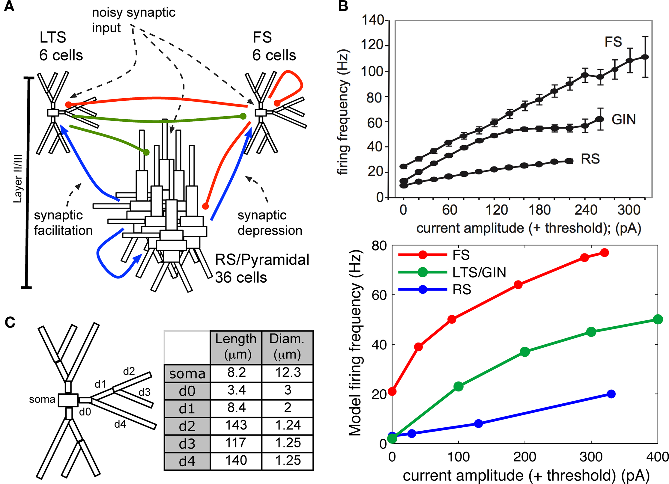 PDF) Computational Neurogenetic Modeling