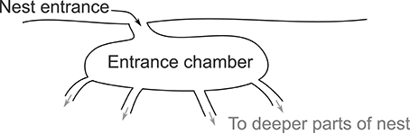 www.frontiersin.org