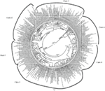 www.frontiersin.org
