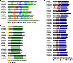 Frontiers | Genome-Wide Identification of Dicer-Like, Argonaute, and ...