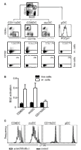www.frontiersin.org