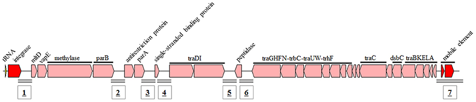 www.frontiersin.org