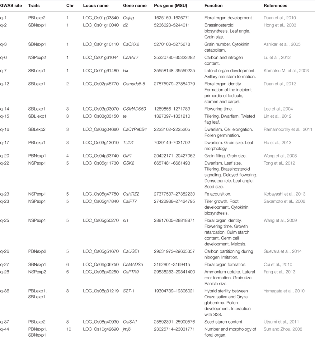 fed-up-worksheet-answer-key-ivuyteq