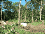 www.frontiersin.org