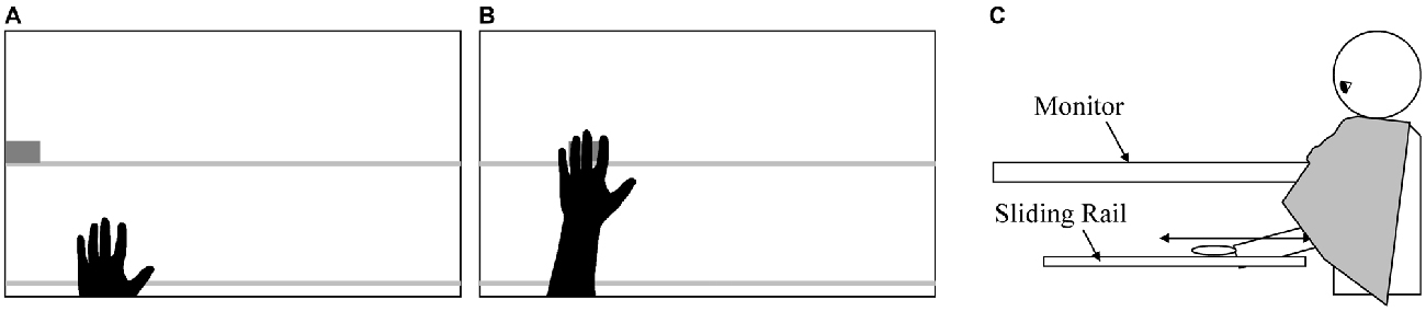 www.frontiersin.org