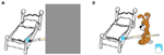 www.frontiersin.org