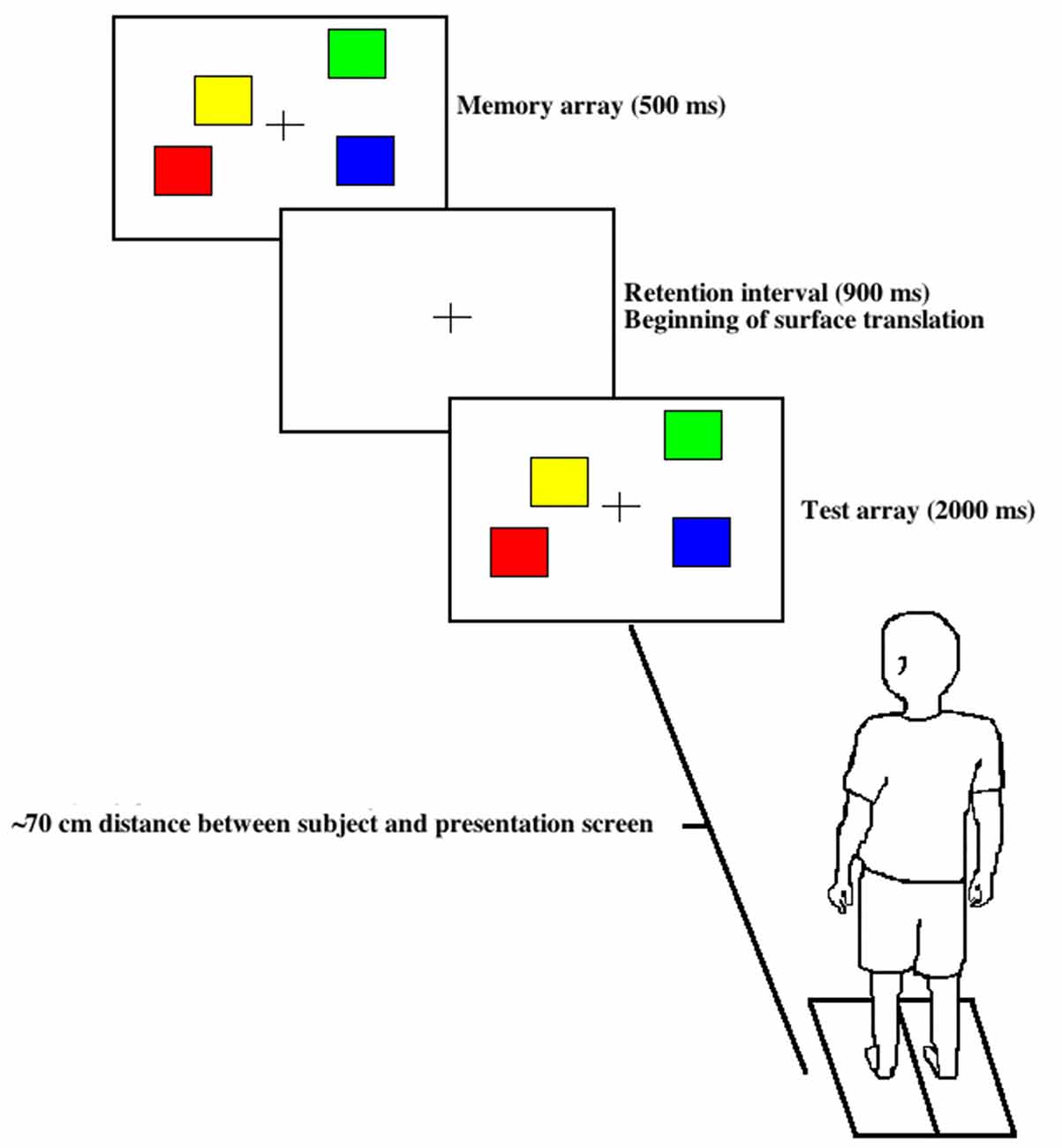 www.frontiersin.org