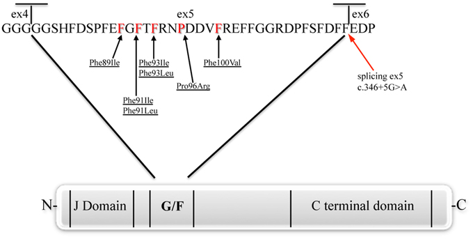 www.frontiersin.org