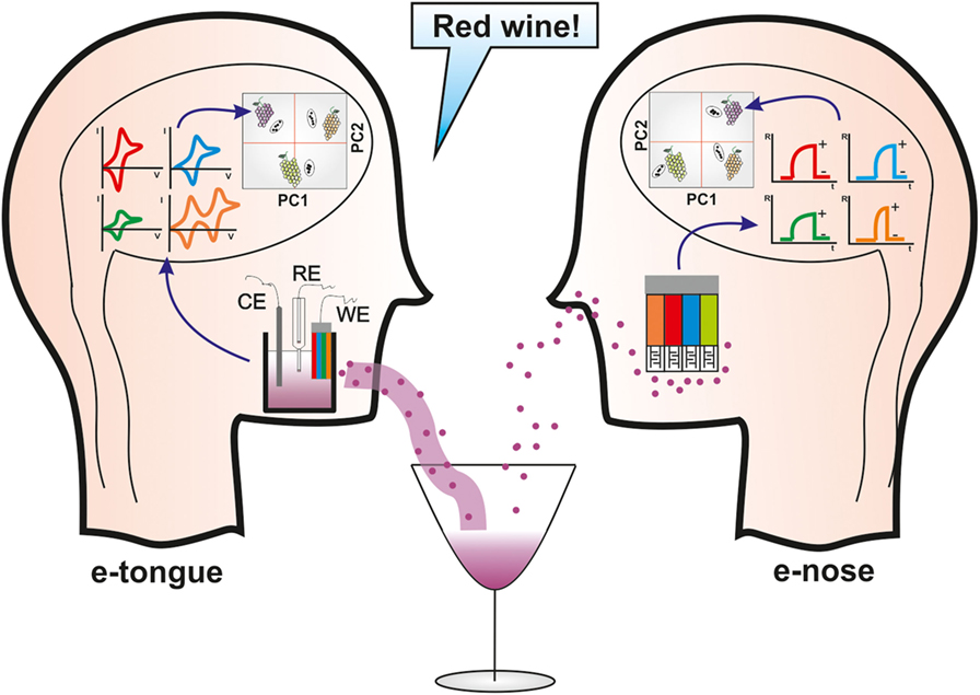 Frontiers Electronic Noses And Tongues In Wine Industry Bioengineering And Biotechnology