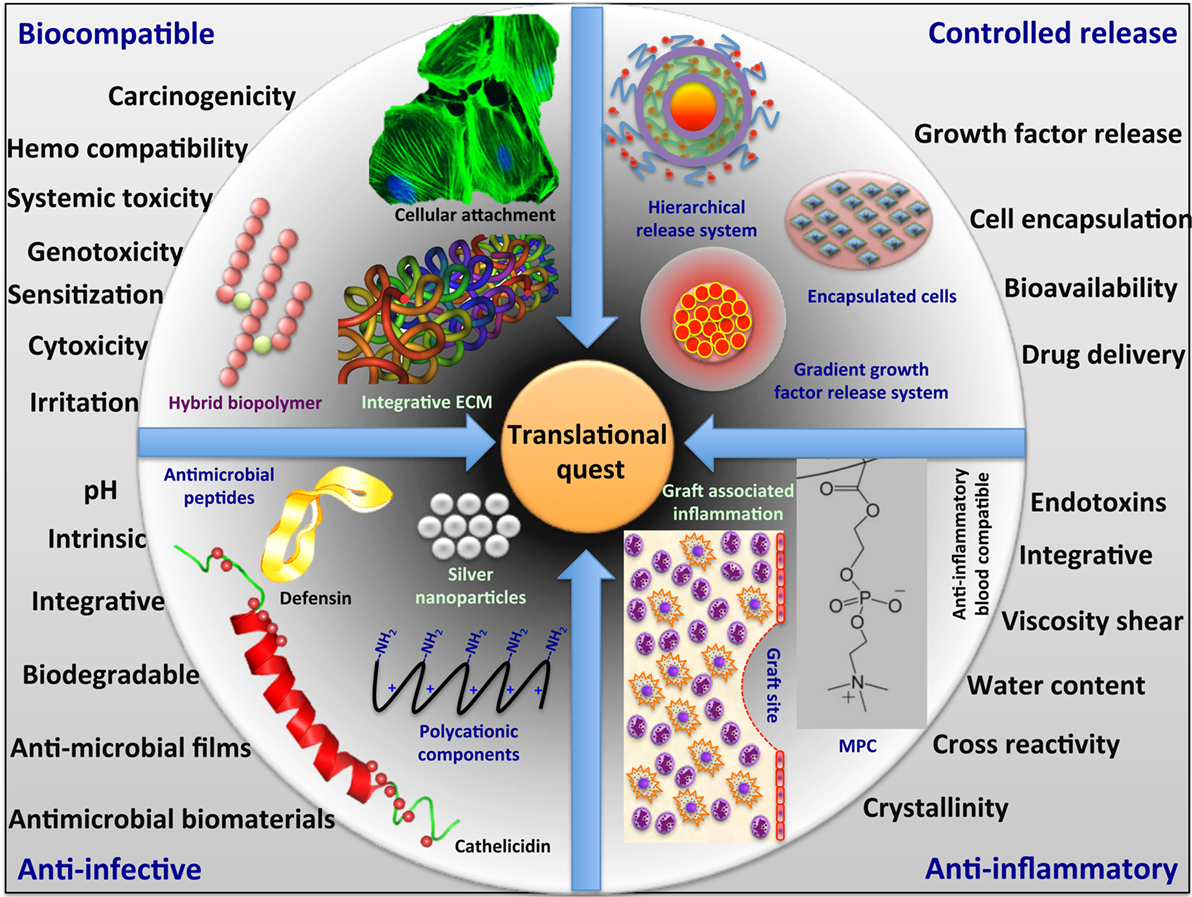 Frontiers The Quest for Antiinflammatory and Antiinfective Biomaterials in Clinical Translation
