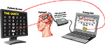 www.frontiersin.org