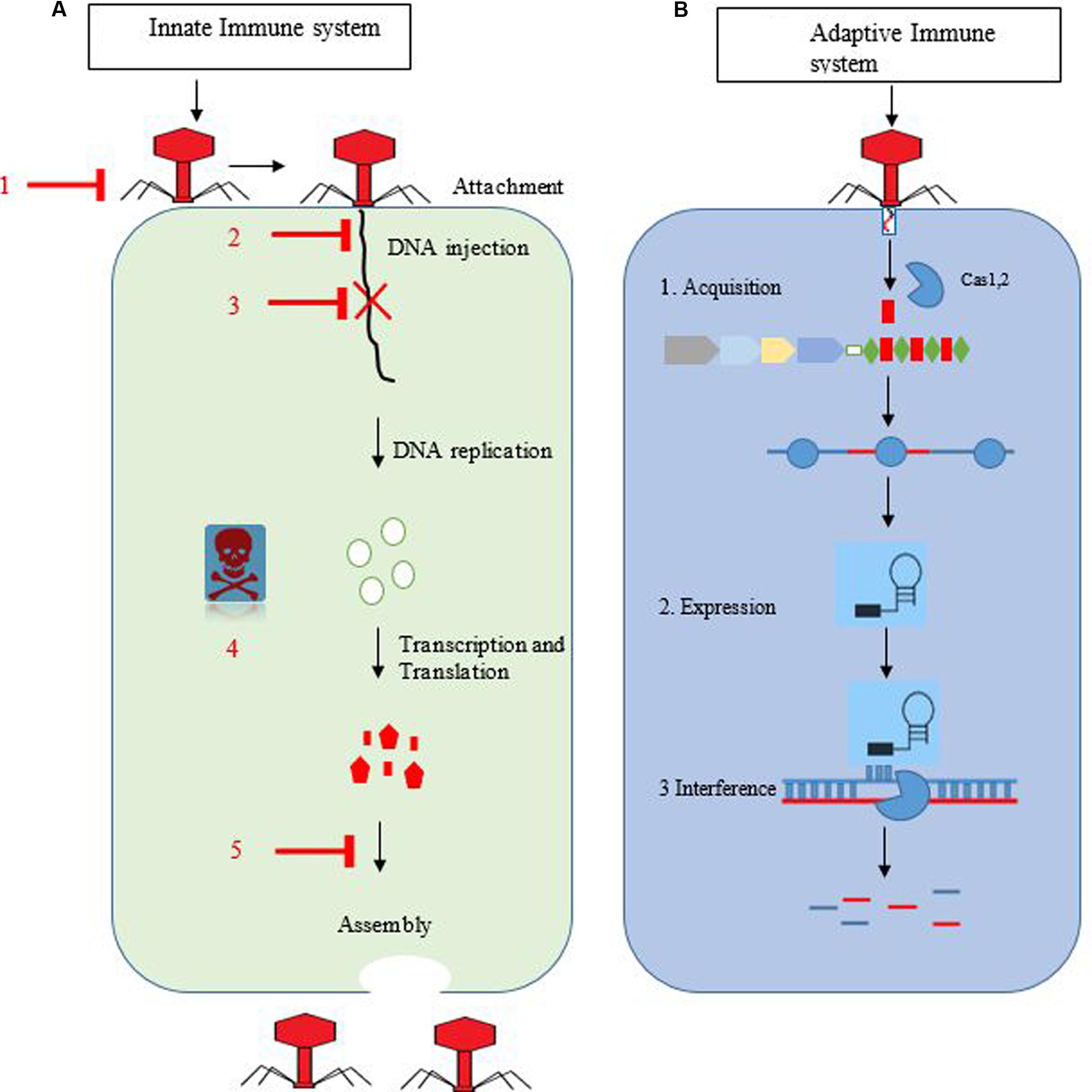 epub nanotoxicology materials