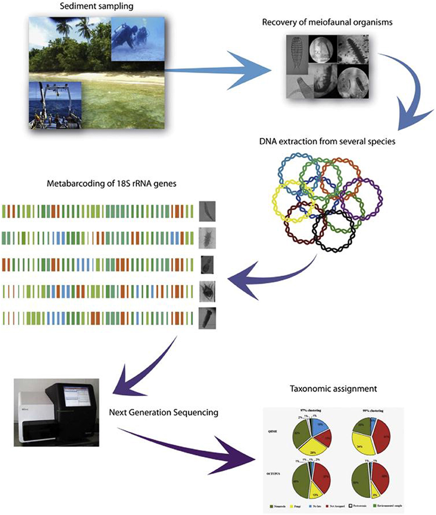 Pushing the limits by 'equal opportunity' design - CytoBuoy flow cytometry  solutions